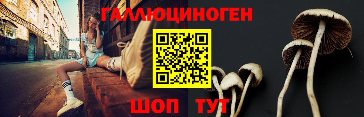 Галлюциногенные грибы MAGIC MUSHROOMS Саяногорск